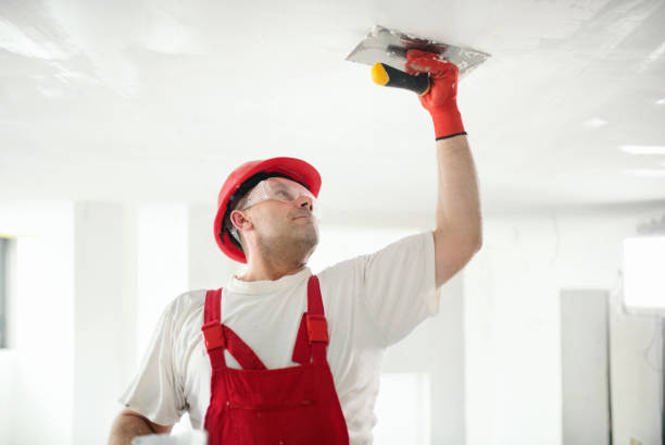 Best Ceiling Drywall Installation  in Cologne, MN