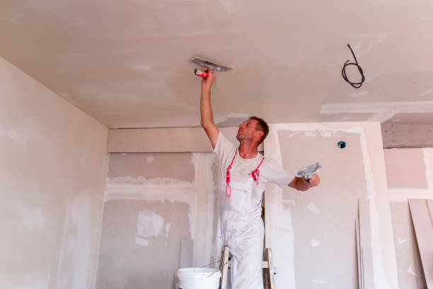 Best Drywall Sanding and Smoothing  in Cologne, MN