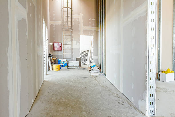 Professional Painting & Drywall Services in Cologne, MN